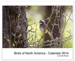2014 Bird Calendar From Canadian Photographer